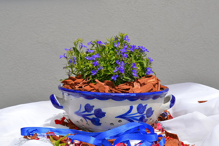 earthenware, ceramic, vessel, grey, blue, shell, pattern