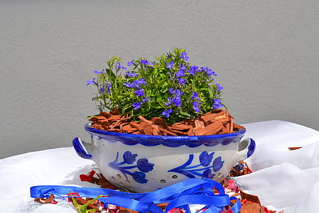 earthenware, ceramic, vessel, grey, blue, shell, pattern