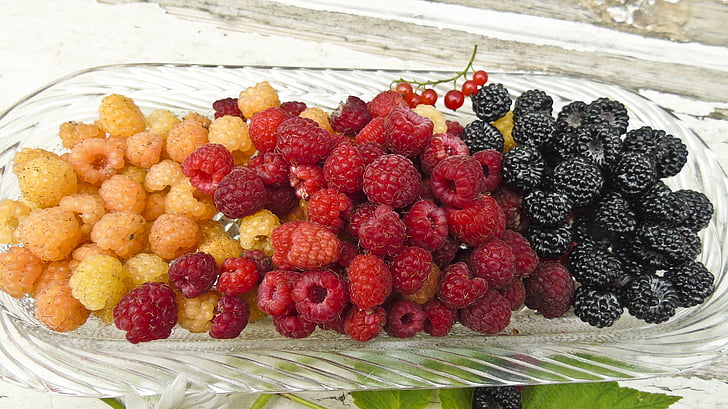 bær, hindbær, BlackBerry, grade, sommer