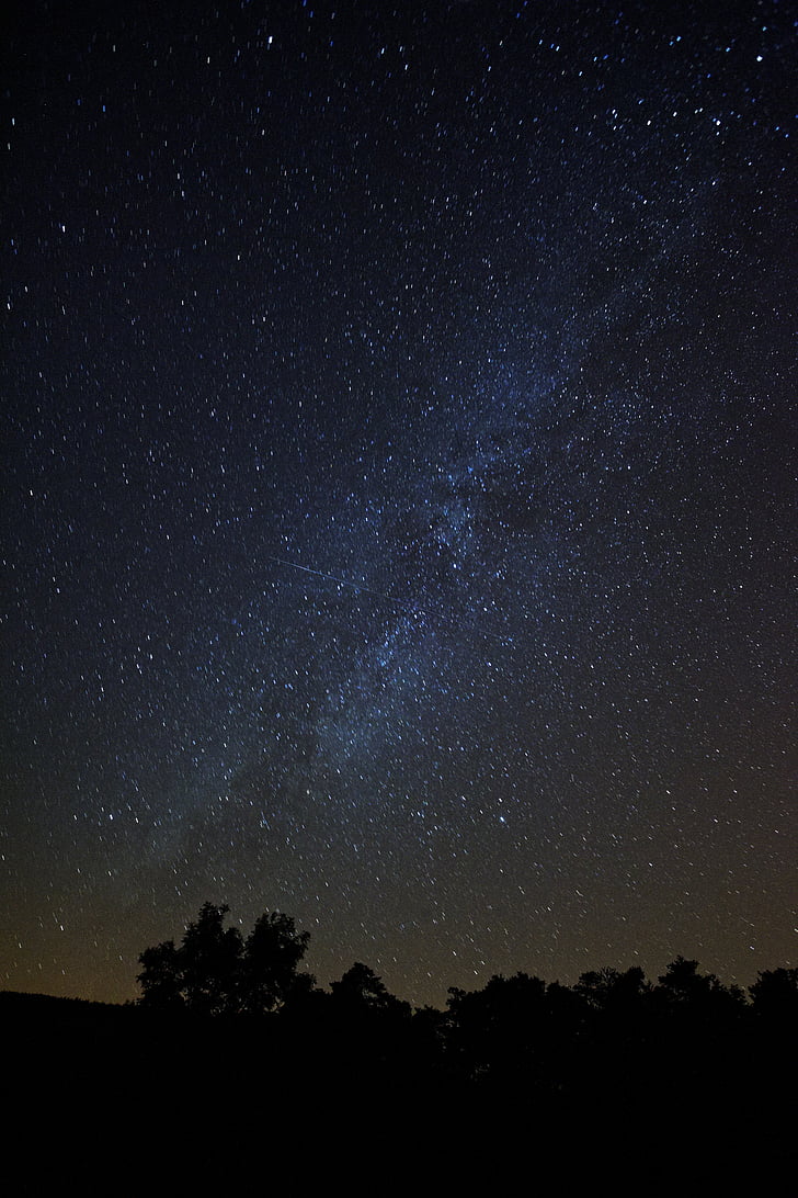 žvaigždynas, galaktika, naktį, dangus, žvaigždės, medžiai, Astronomija