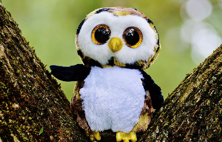 owl, glitter, stuffed animal, cute, goggle, sweet, funny