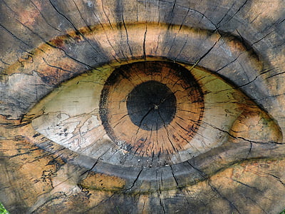 eye, wood, close, carved, wood carving, tree, nature