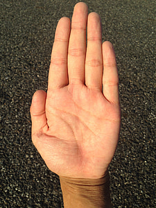 Palm, mão, dedo, branqueamento, leitura da palma, jovem, Japonês