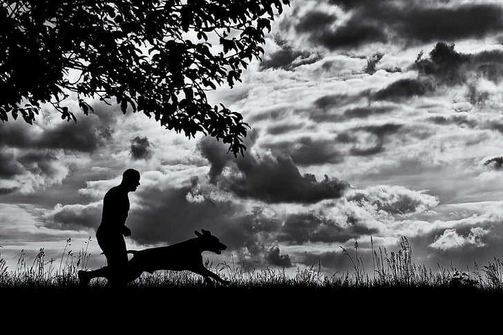 Running dog, man en hond, hond, silhouet, één persoon, een man alleen, alleen voor volwassenen