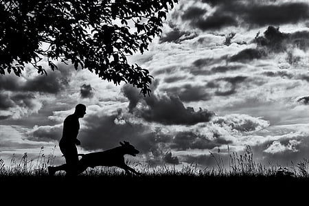 running dog, man and dog, dog, silhouette, one person, one man only, adults only