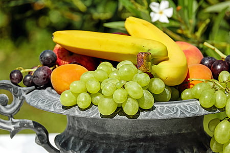 meyve tabağı, deniz hayvanı kabuğu, meyve, meyve, Vitaminler, Frisch, sağlıklı