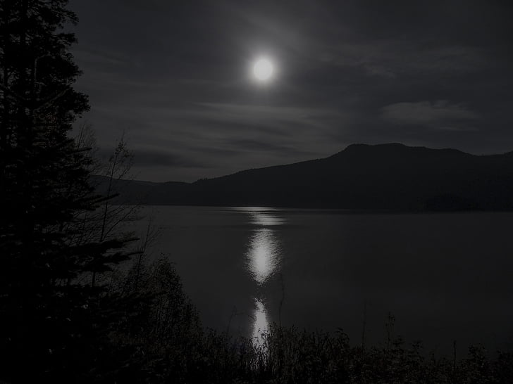 Lune, brillant, clair de lune, réflexion, Canim lake, Colombie-Britannique, Canada