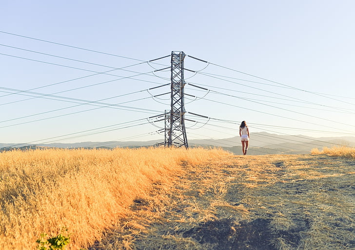 жінка, стоячи, Грін, поля, поблизу, Електроенергія, пост