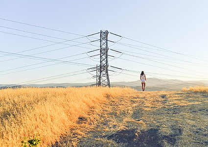 kvinde, stående, grøn, felter, i nærheden af, elektricitet, indlæg