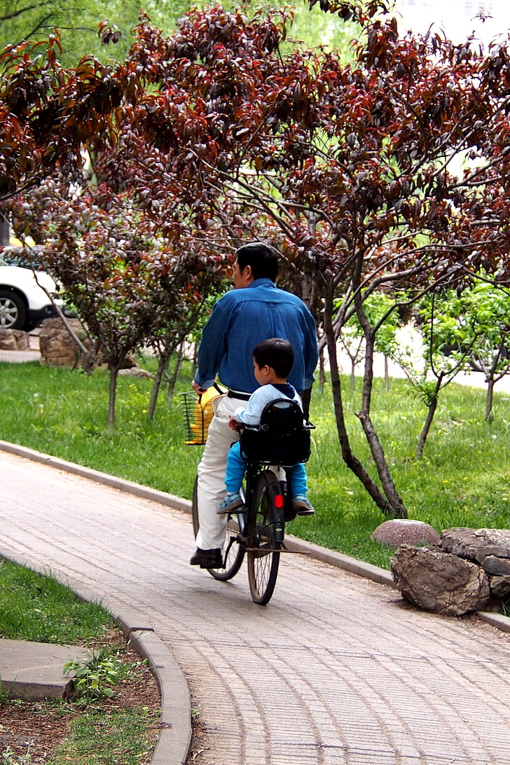 apa és fia, ábra, a táj, kerékpár