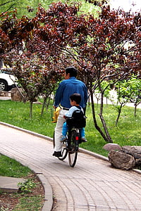otac i sin, slika, krajolik, bicikl