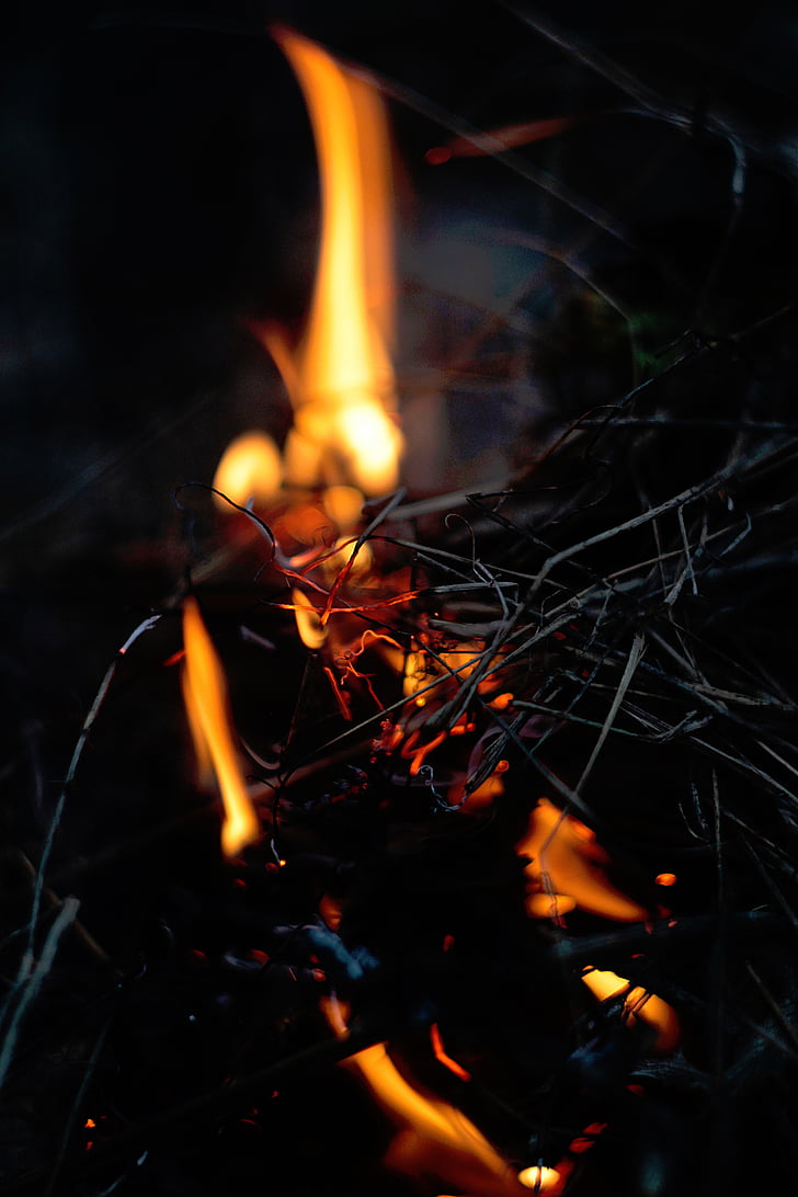 fuoco, ramoscelli, falò, nero, arancio, calore, fuoco - fenomeno naturale