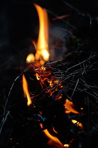 fuego, ramas, hoguera, negro, naranja, calor, fuego - fenómeno natural