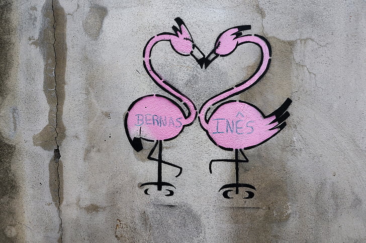 Graffiti, målning, väggen, Ponta delgada, Azorerna, Portugal, Flamingo