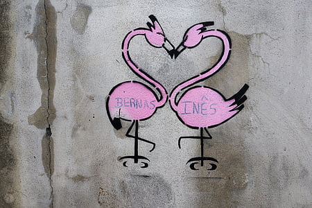 graffiti, malba, zeď, Ponta delgada, Azory, Portugalsko, Flamingo