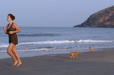 小狗, 海滩, kudle, 沙子, 玩, 女人, 慢跑者