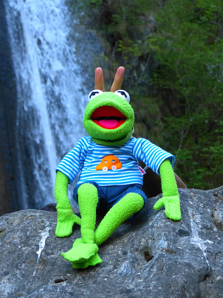 Kermit, βάτραχος, κάθονται, γέλιο, διασκέδαση, κούκλα, πράσινο
