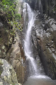 cascata, natura, Bali, foresta, selvaggio, cascata, all'aperto