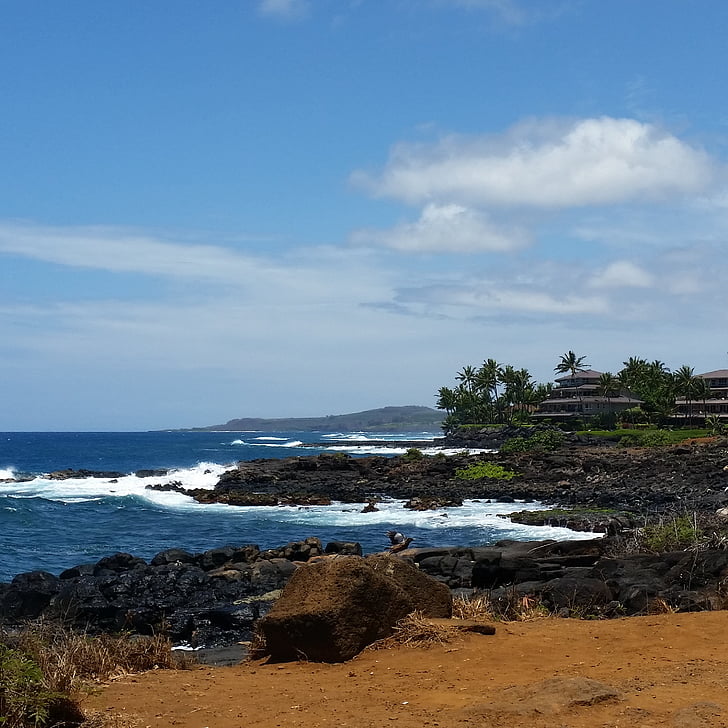 vida de Hawaii, vida de Kauai, Kauai, Hawaii, viajes, mar, verano