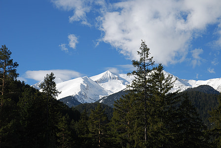 Bulgarien, Pirinbergen, våren, naturen, träd, snö
