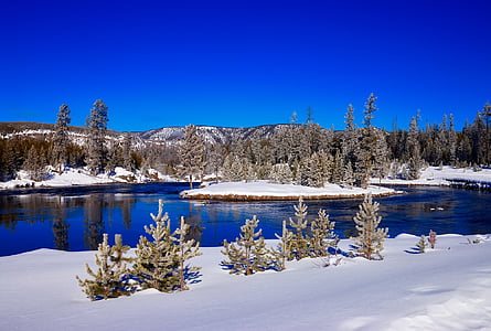 옐로스톤, 국립 공원, 와이오밍, 겨울, 눈, 조 경, 자연