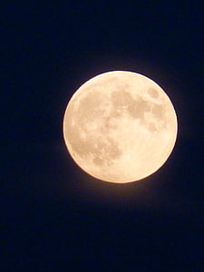 满月, 月亮, 晚上, 浪漫, 月光, 神秘
