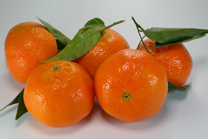 Orangen, Mandarinen, Clementinen, Zitrusfrüchte, Orange, Früchte, Blätter