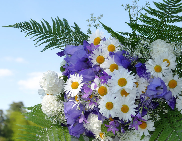flowers, summer, white, purple