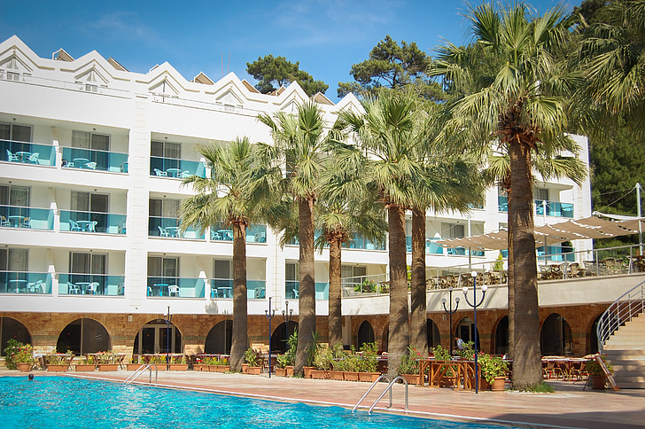 Zwembad, palmbomen, Hotel, vakantie, vakantie, zomer, Turkije