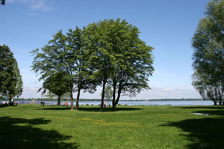 lake, tree, water, landscape