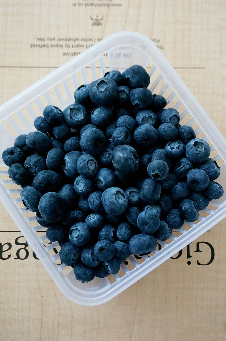 blueberry, fruit, purple