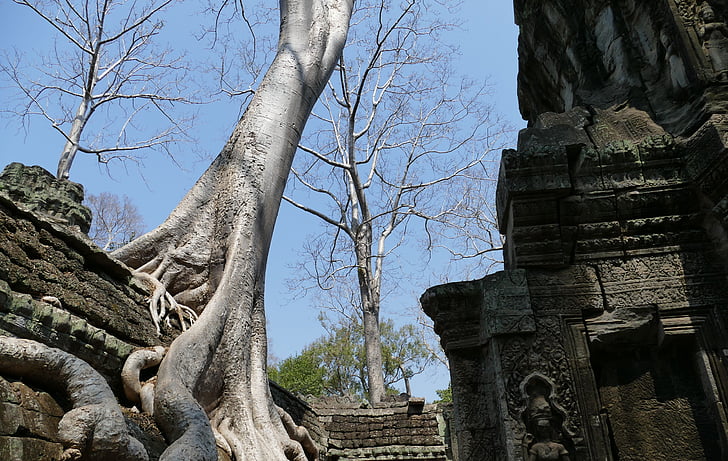 Angkor, Angkor wat, Kambodża, Świątynia, Azja, świątyni złożonych, Historycznie