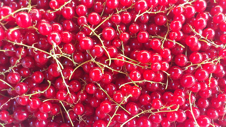 rode bessen, fruit, Berry