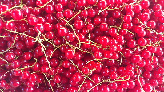 grosella roja, fruta, Berry