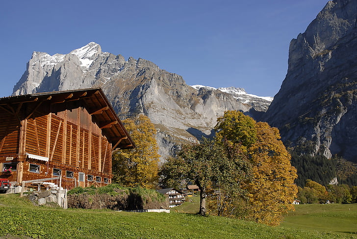 gräs, hus, Mountain, landsbygdens, natursköna, träd, Europeiska Alperna