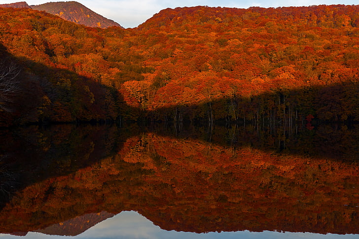 tsutanuma, autumnal leaves, aomori, autumn, lake, forest, reflection
