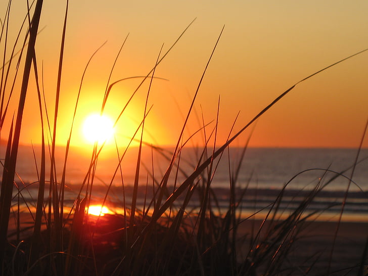 soluppgång, stranden, Maine, gräs, Orange, solnedgång, solen