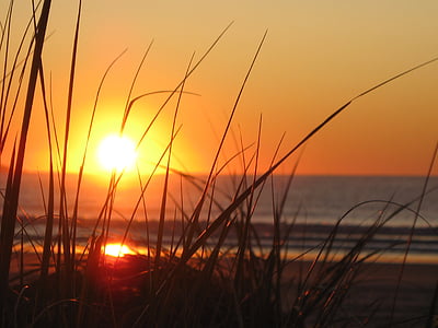 sunrise, beach, maine, grass, orange, sunset, sun