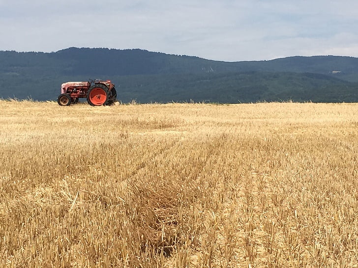 traktor, solen, sommar