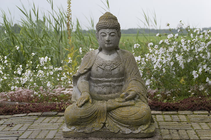 Budda, obraz, ogród