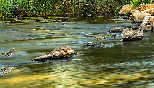 물, 바흐, 강, 돌, 바위, 자연, 흐름