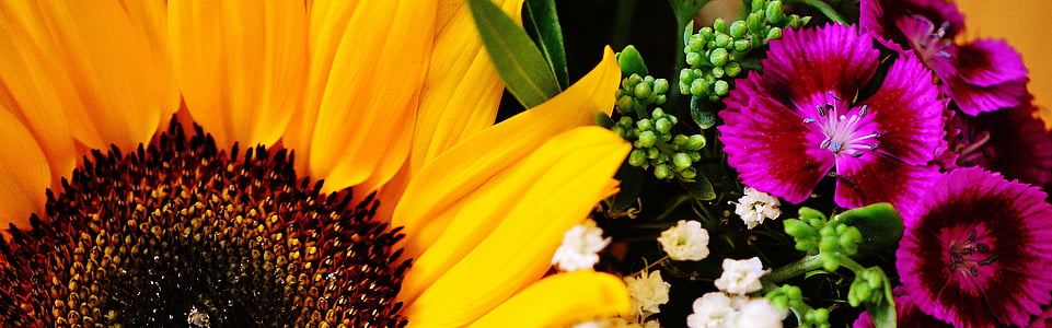 bukiet, Sun flower, Latem, roślina, kwiaty