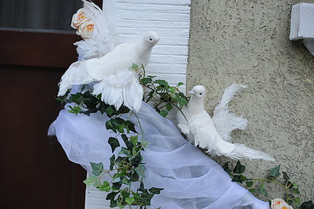 pombos, casamento, arranjo, casamento, decoração, pombas brancas