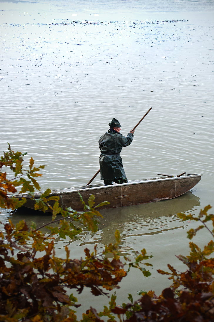 rowboat, fisherman, one, water, pond, bush, wet