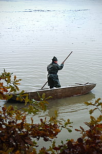 βάρκα με κουπιά, ψαράς, ένα, νερό, Λίμνη, ο Μπους, υγρό