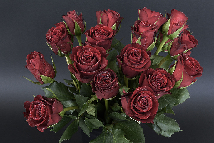 roses, drip, bouquet of roses, bouquet, strauss, flowers, romance