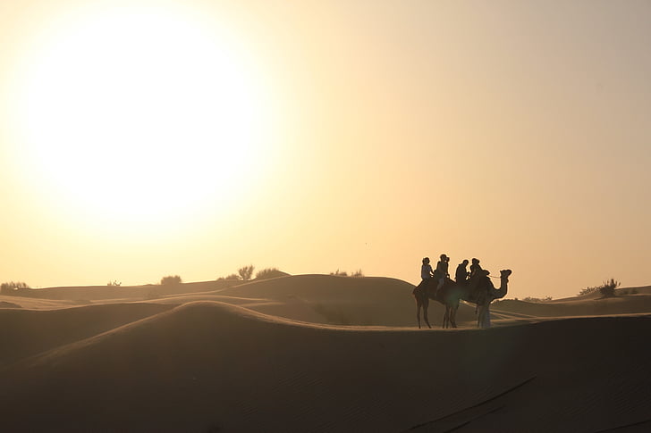 Dubai, tuksnesis, Safari, kamielis, saulriets, kāpu, ainava