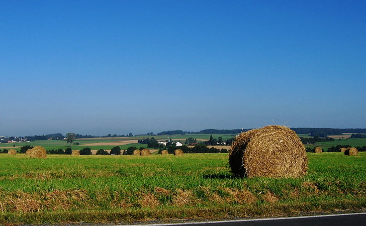 straw, straw bales, meadow, sky, blue, bale, agriculture