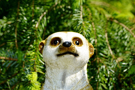 meerkat, figure, decoration, garden decoration, animal, funny