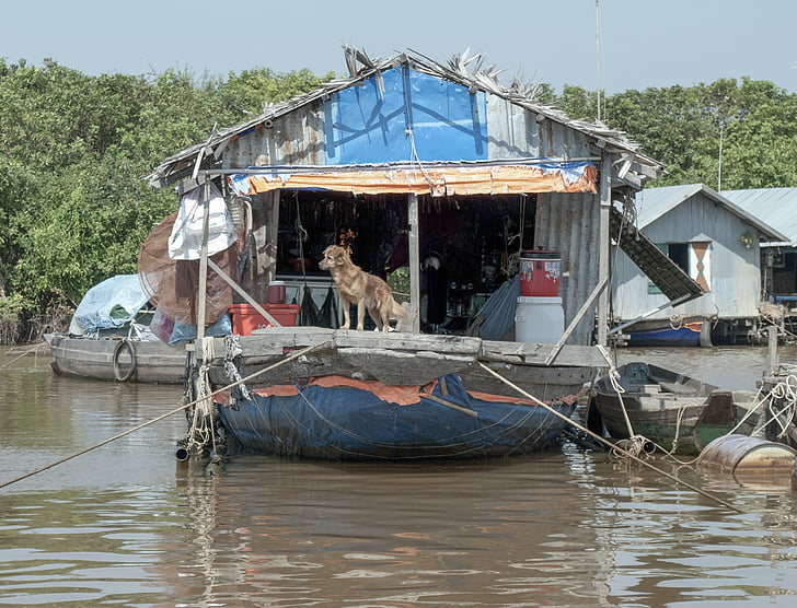 colibă, colibă, cabină, sărăciei, Cambodgia, Lacul Tonle sap, Asia